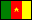 Flag Cameroon