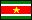 Flag Suriname