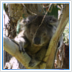 Flights to Oceania