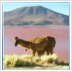 Flights to South America