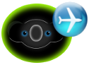 Flights