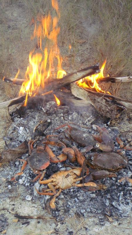 Mud crabs on the fire, Cape Leveque Australia