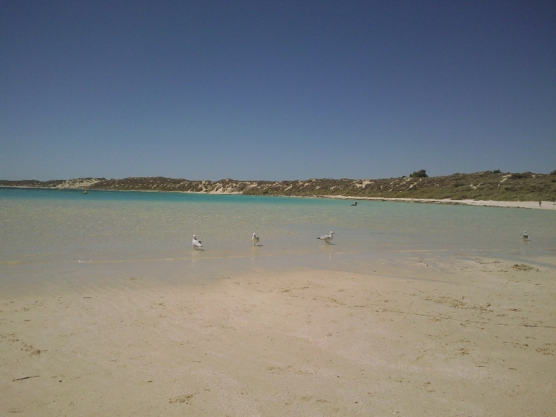 The Beach at CB, Australia