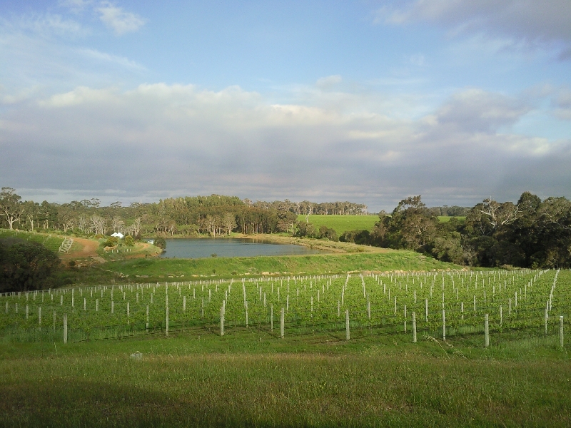 The Vineyard, Margaret River Australia