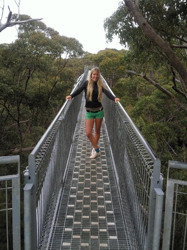 On Top of the Trees, Australia