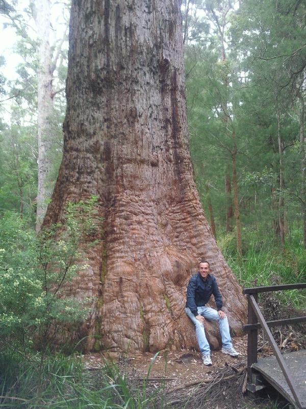 Ancient Empire , Walpole Australia