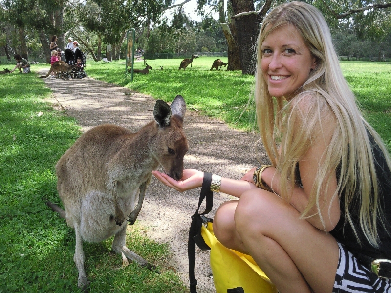 Feeding the roos, Cleland Hills Australia