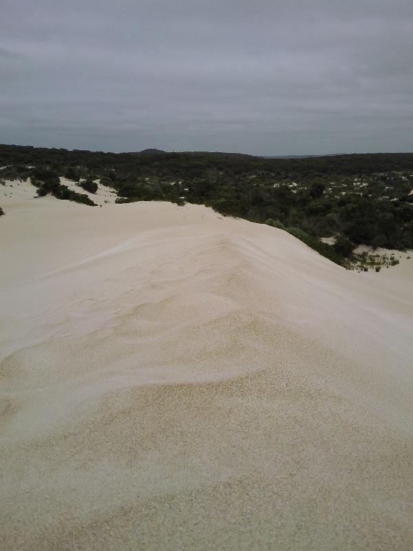 Little Sahara desert, Kangaroo Island Australia