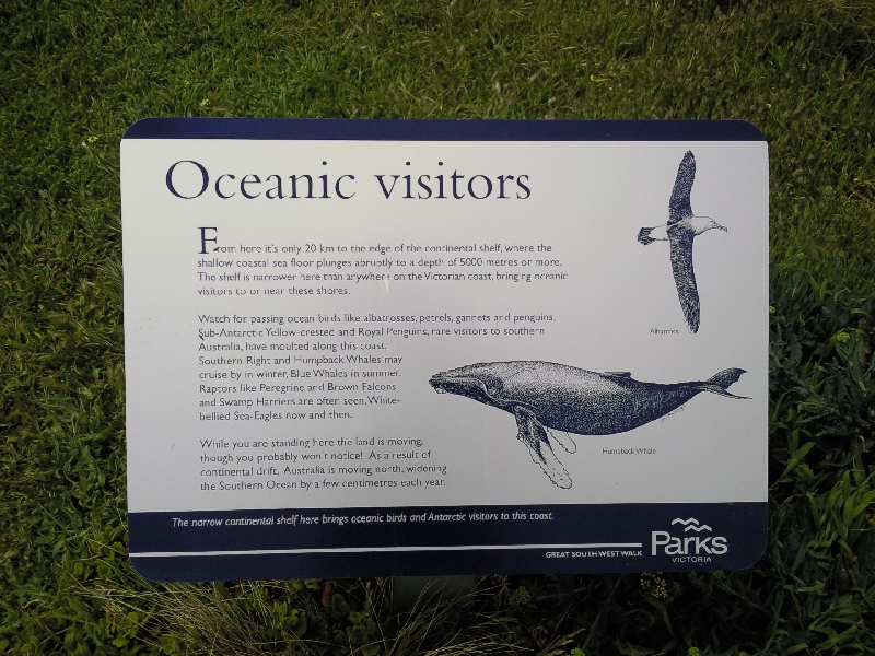 Seal conlony, Australia