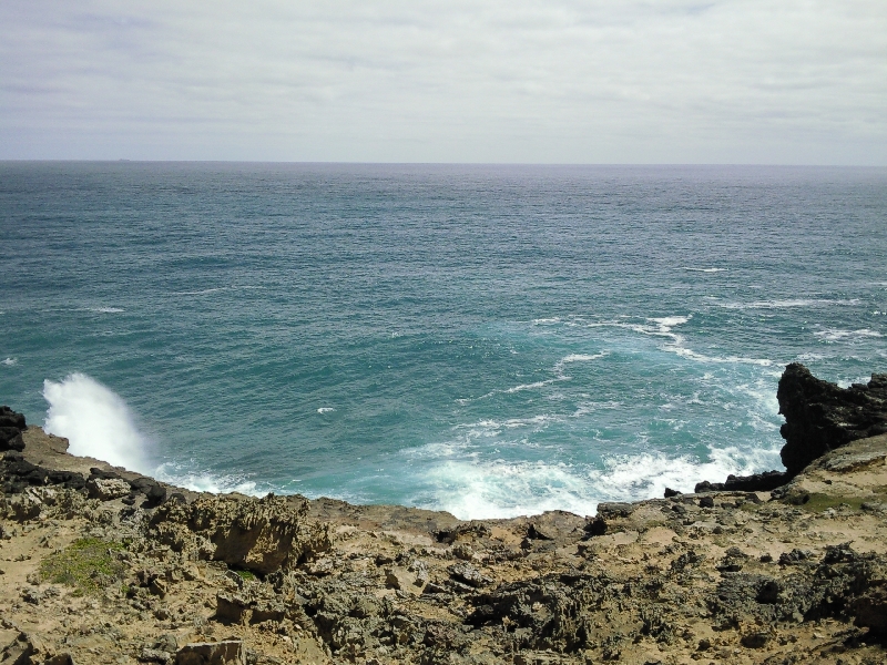 Coast petrified forest, Bridgewater Bay Australia