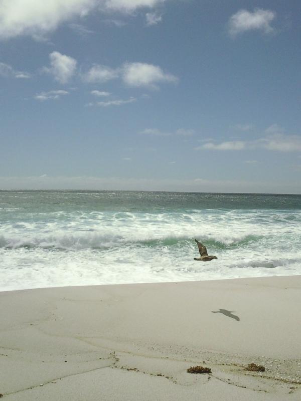 Jeanneret Beach, Bay of Fires, Australia