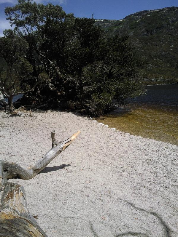 Idillic beach at Cradle Mountain, Australia