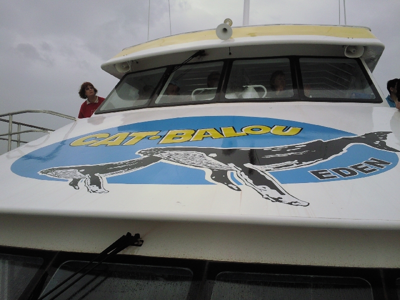 Cat Balou Whale Spotting Cruise, Eden Australia