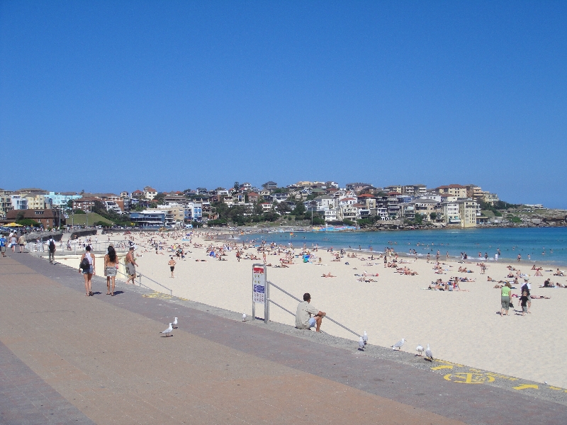 Best Sydney beaches, Australia