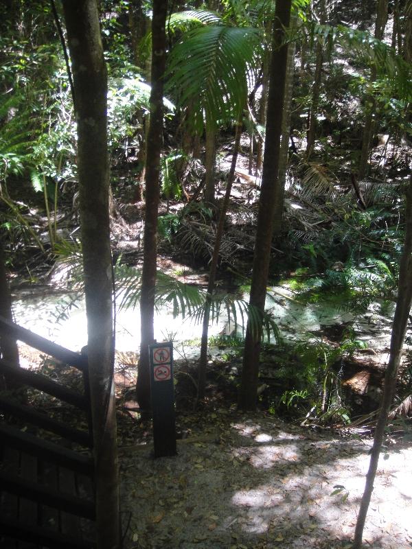 Wanggoolba Creek Fraser Island, Hervey Bay Australia