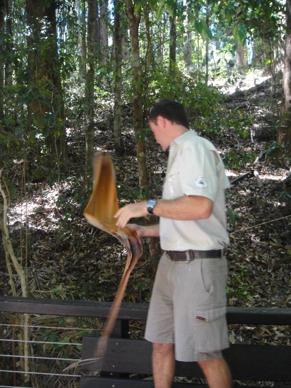 Guided walk on Fraser Island, Hervey Bay Australia