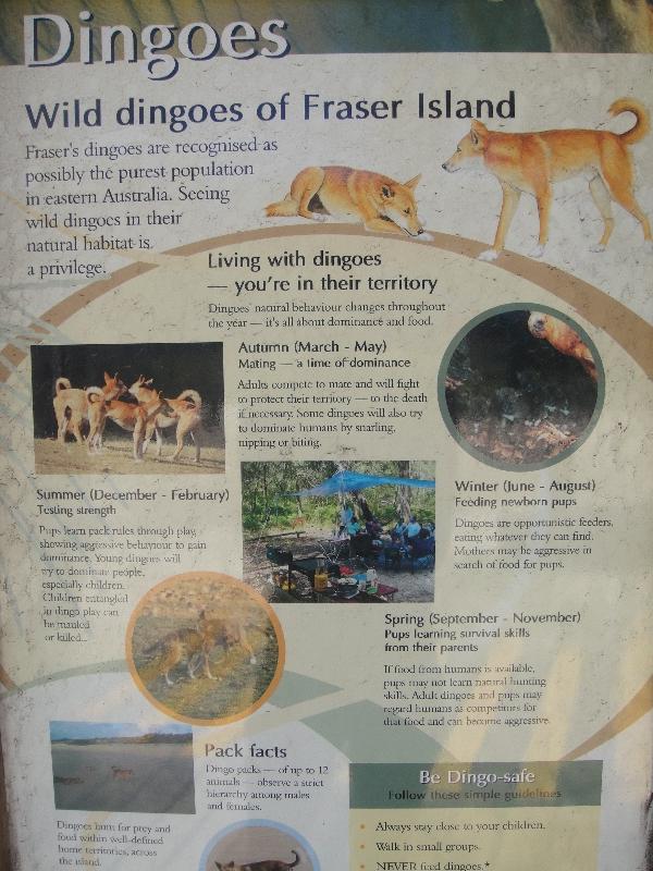 Dingo warning signs on Fraser Island, Australia