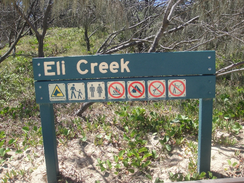 Eli Creek on Fraser Island, Australia