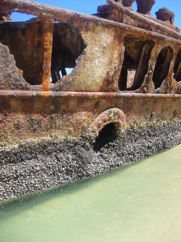 Moheno Shipwreck on Fraser Island, Australia