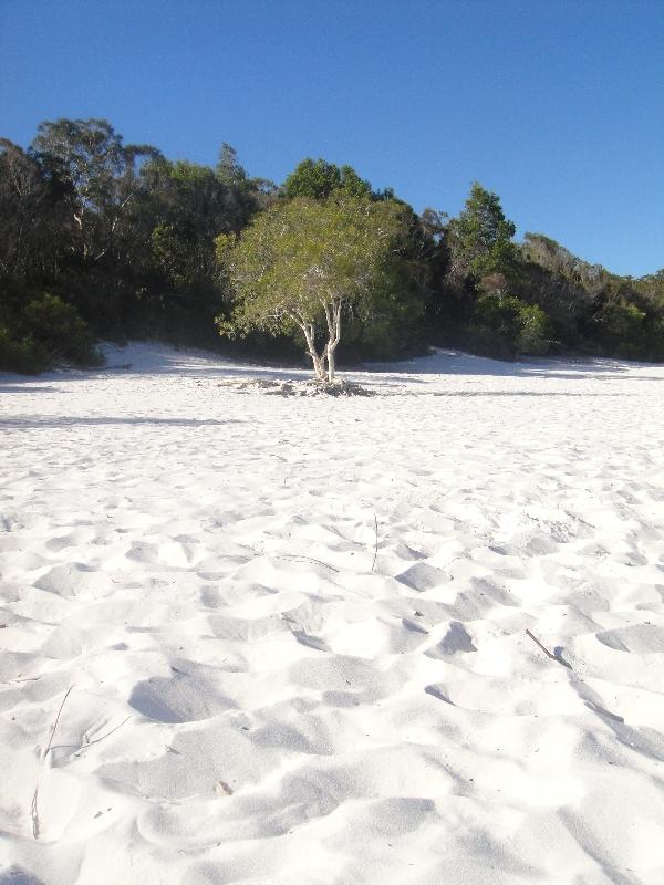 The beautiful sand of Lake McKenzie beach, Hervey Bay Australia