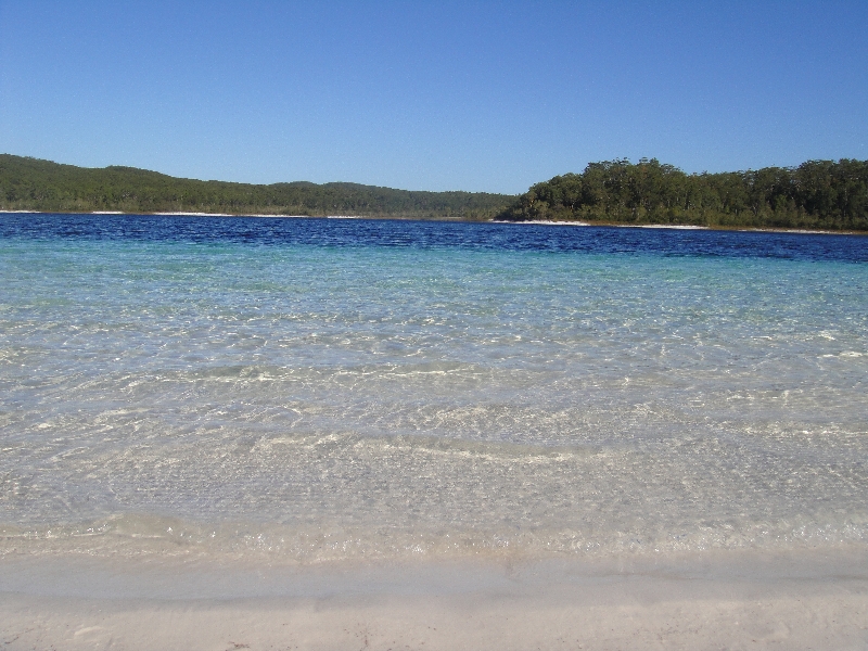 The beach at Lake McKenzie, Australia