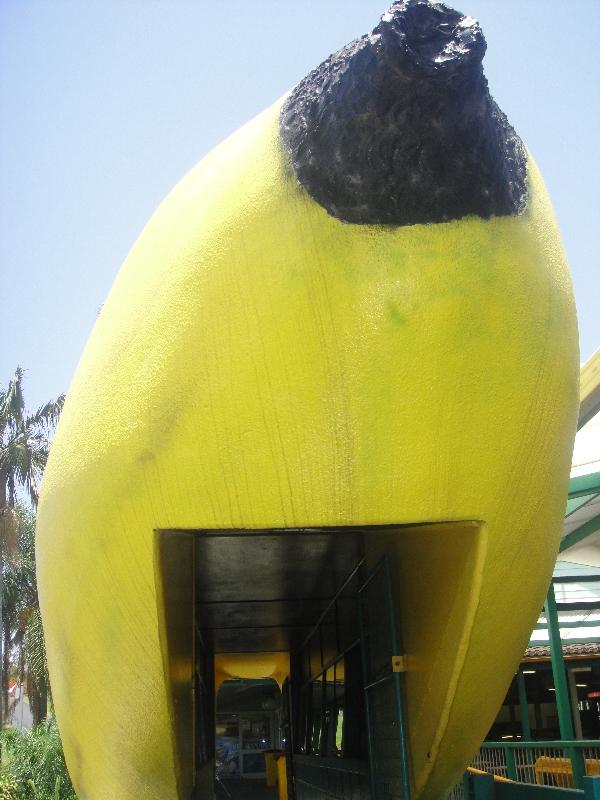 Big fruit statues in Australia, Coffs Harbour Australia