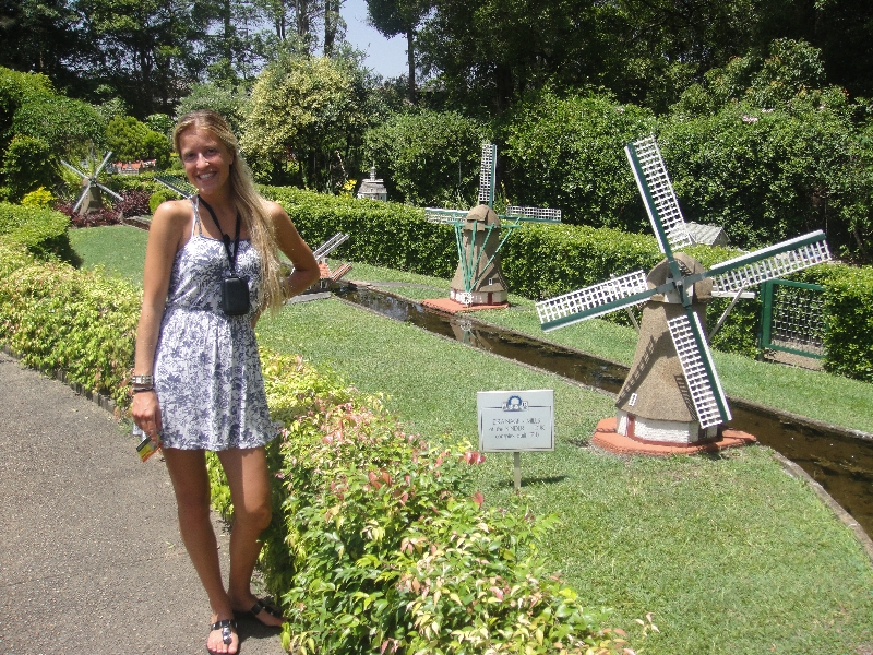 Dutch houses and wind mills, Coffs Harbour Australia