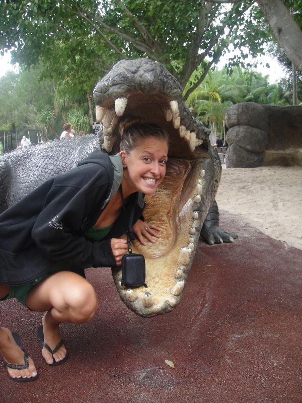 The jaws of a 16 m Croc!, Beerwah Australia