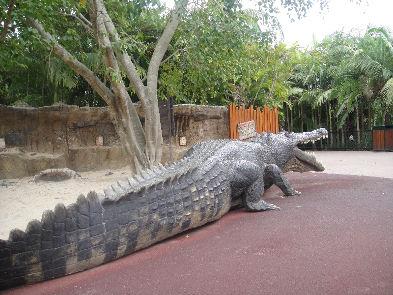 Reconstruction of the biggest crocodile ever!, Beerwah Australia