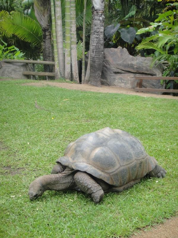 Photo The Steve Irwin Australia Zoo in Beerwah, Queensland stopped