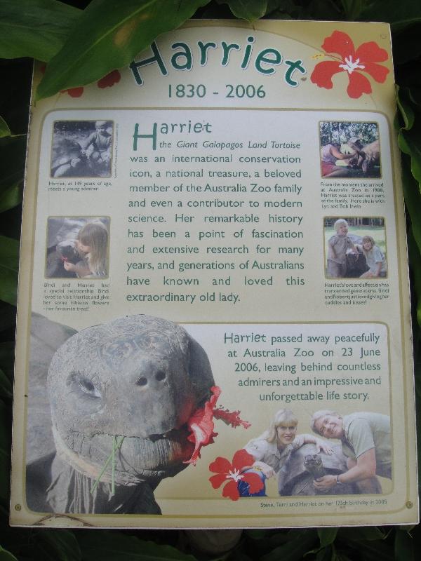 The Steve Irwin Australia Zoo in Beerwah, Queensland Vacation Picture