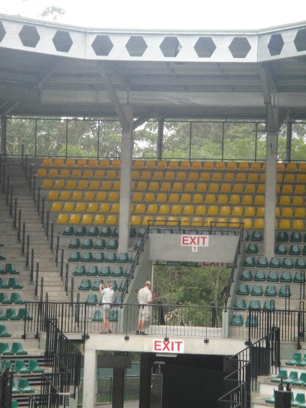 Parrot show in the Crocoseum, Beerwah, Beerwah Australia