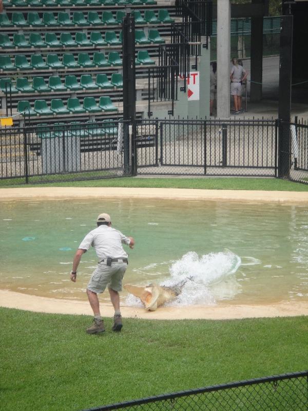 Crocodile feeding at Beerwah Zoo, Australia