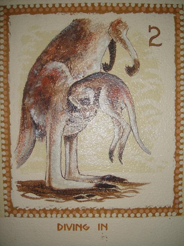 Joey Kangaroo educational signs, Beerwah Australia