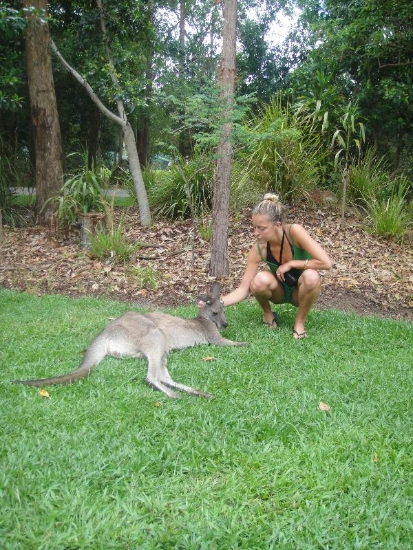 Photo The Steve Irwin Australia Zoo in Beerwah, Queensland around