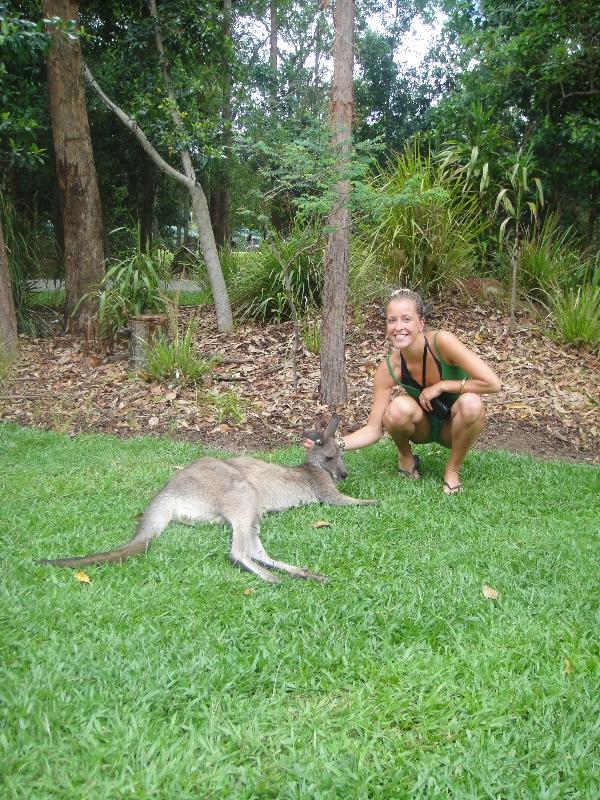 Photo The Steve Irwin Australia Zoo in Beerwah, Queensland little