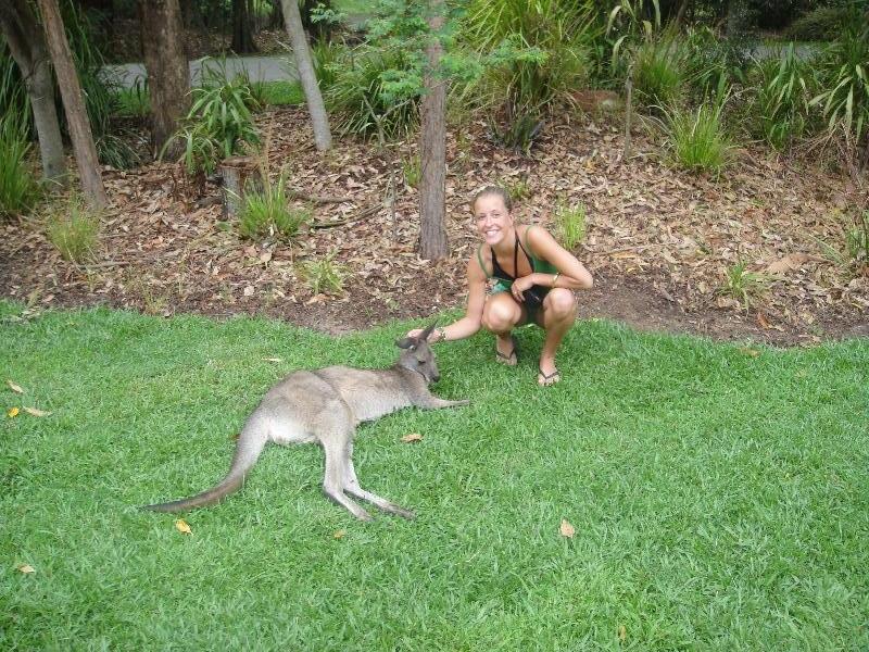 Photo The Steve Irwin Australia Zoo in Beerwah, Queensland crowded