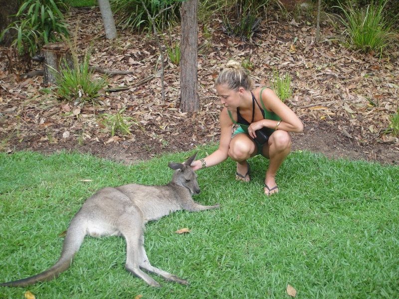 Photo The Steve Irwin Australia Zoo in Beerwah, Queensland things