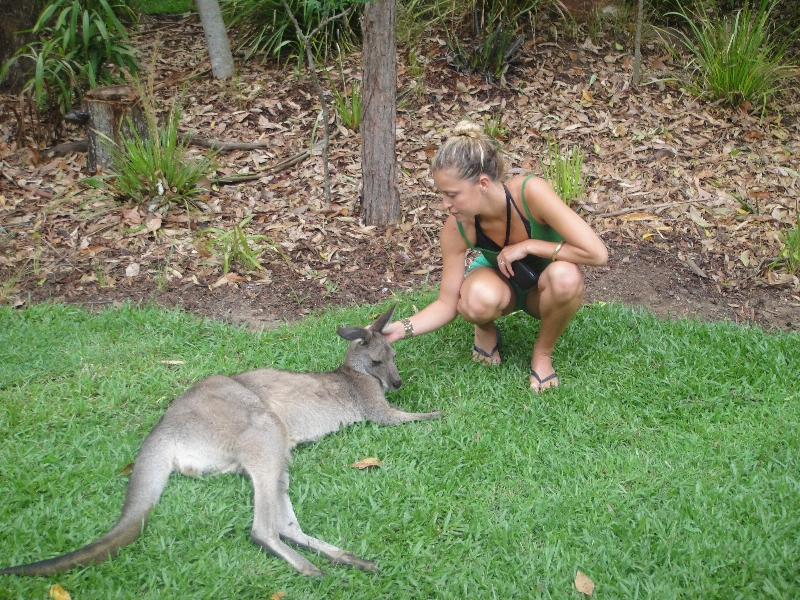 The Steve Irwin Australia Zoo in Beerwah, Queensland Review Photo