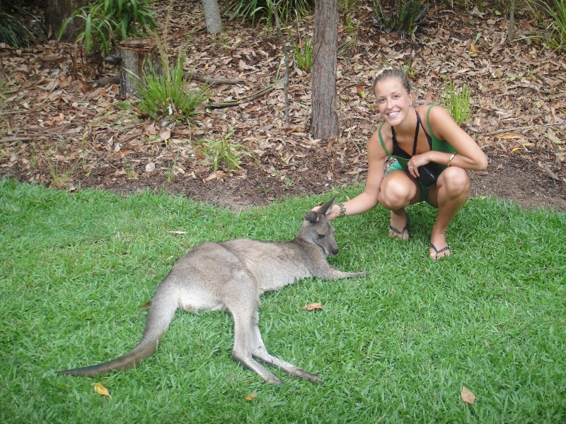 Photo The Steve Irwin Australia Zoo in Beerwah, Queensland encounter