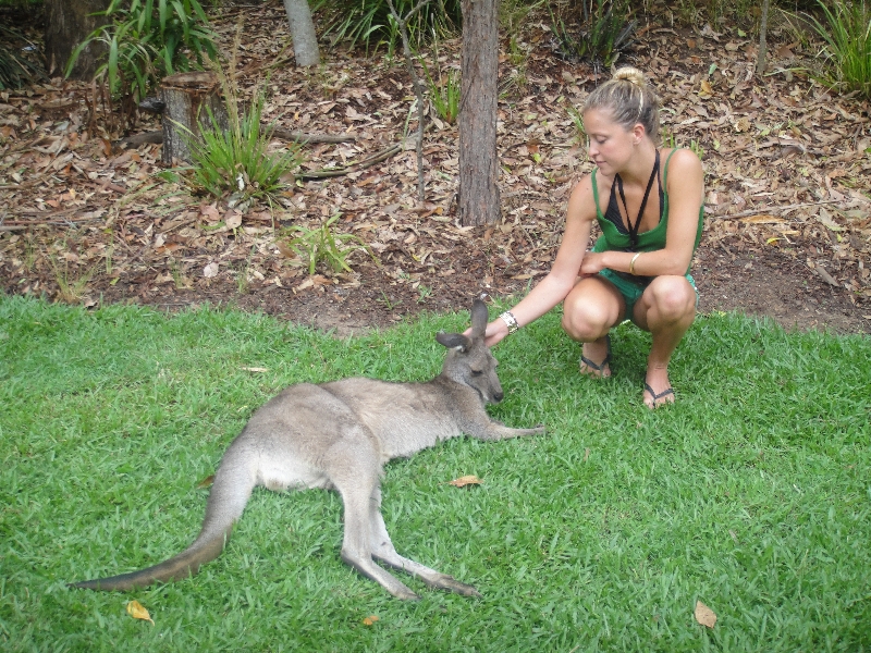 The Steve Irwin Australia Zoo in Beerwah, Queensland Travel Experience