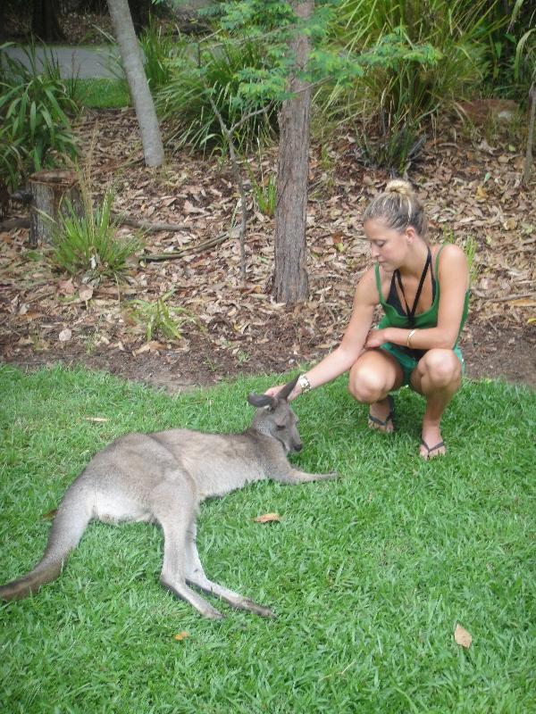 Photo The Steve Irwin Australia Zoo in Beerwah, Queensland Valley