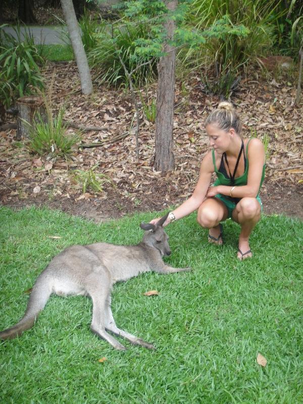 The Steve Irwin Australia Zoo in Beerwah, Queensland Travel Diary