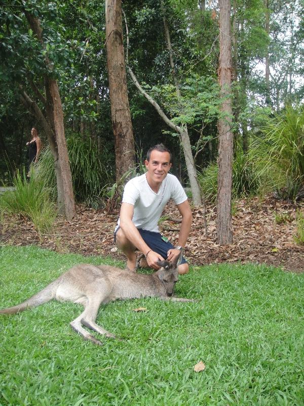 Photo The Steve Irwin Australia Zoo in Beerwah, Queensland wallabies