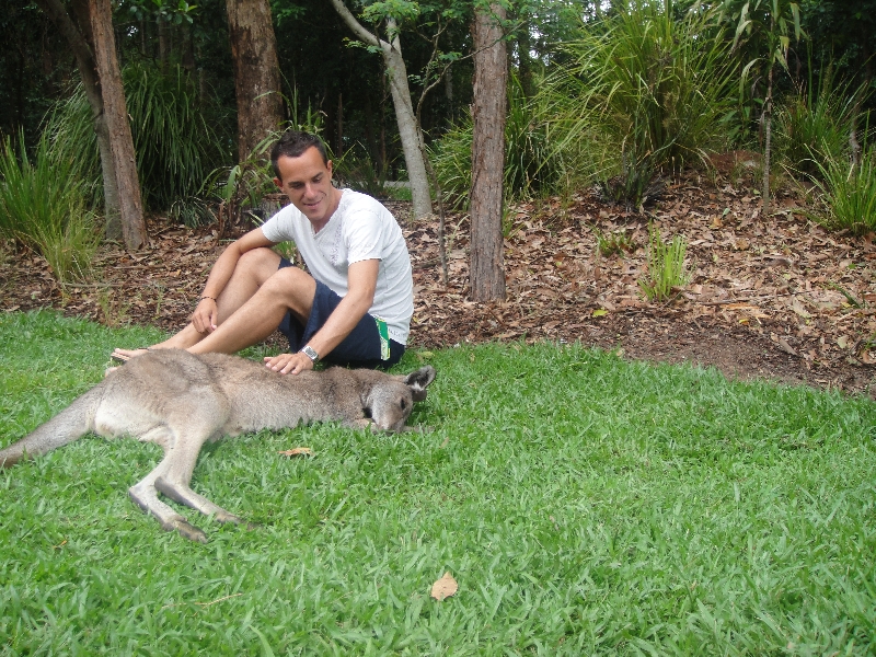 Photo The Steve Irwin Australia Zoo in Beerwah, Queensland really