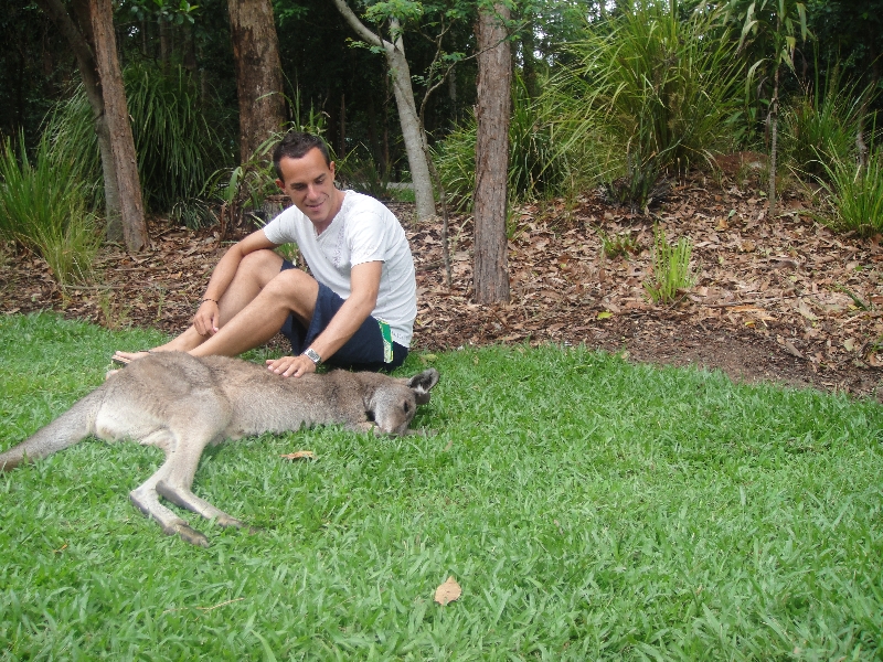 The Steve Irwin Australia Zoo in Beerwah, Queensland Travel Adventure