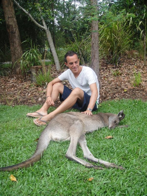 Photo The Steve Irwin Australia Zoo in Beerwah, Queensland visitors