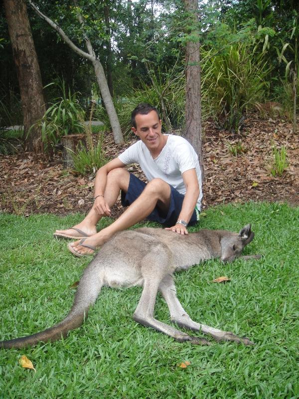 The Steve Irwin Australia Zoo in Beerwah, Queensland Travel Information