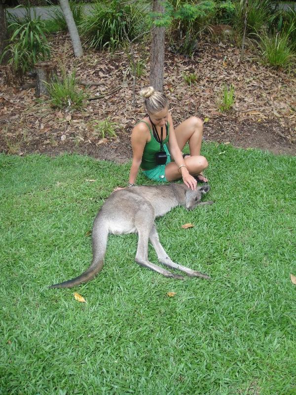 Photo The Steve Irwin Australia Zoo in Beerwah, Queensland different