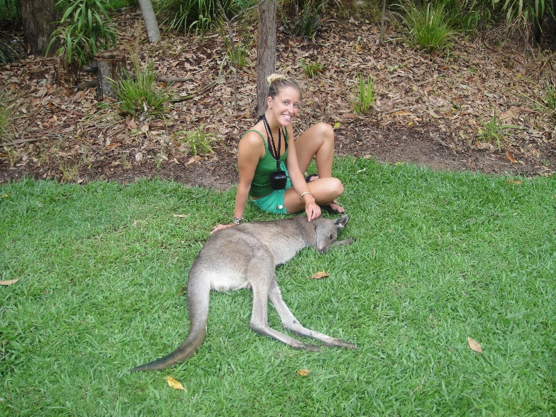 The Steve Irwin Australia Zoo in Beerwah, Queensland Vacation Tips